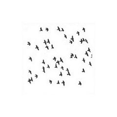 Stencil - Small Flock
