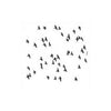 Stencil - Small Flock